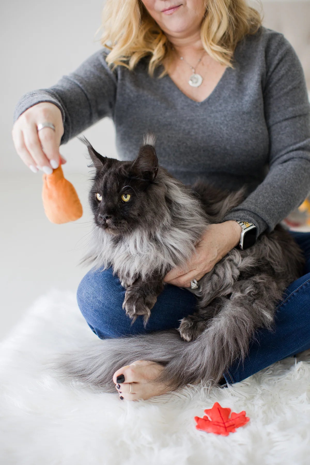 Pearhead It'S Meowple Season Cat Toy Set