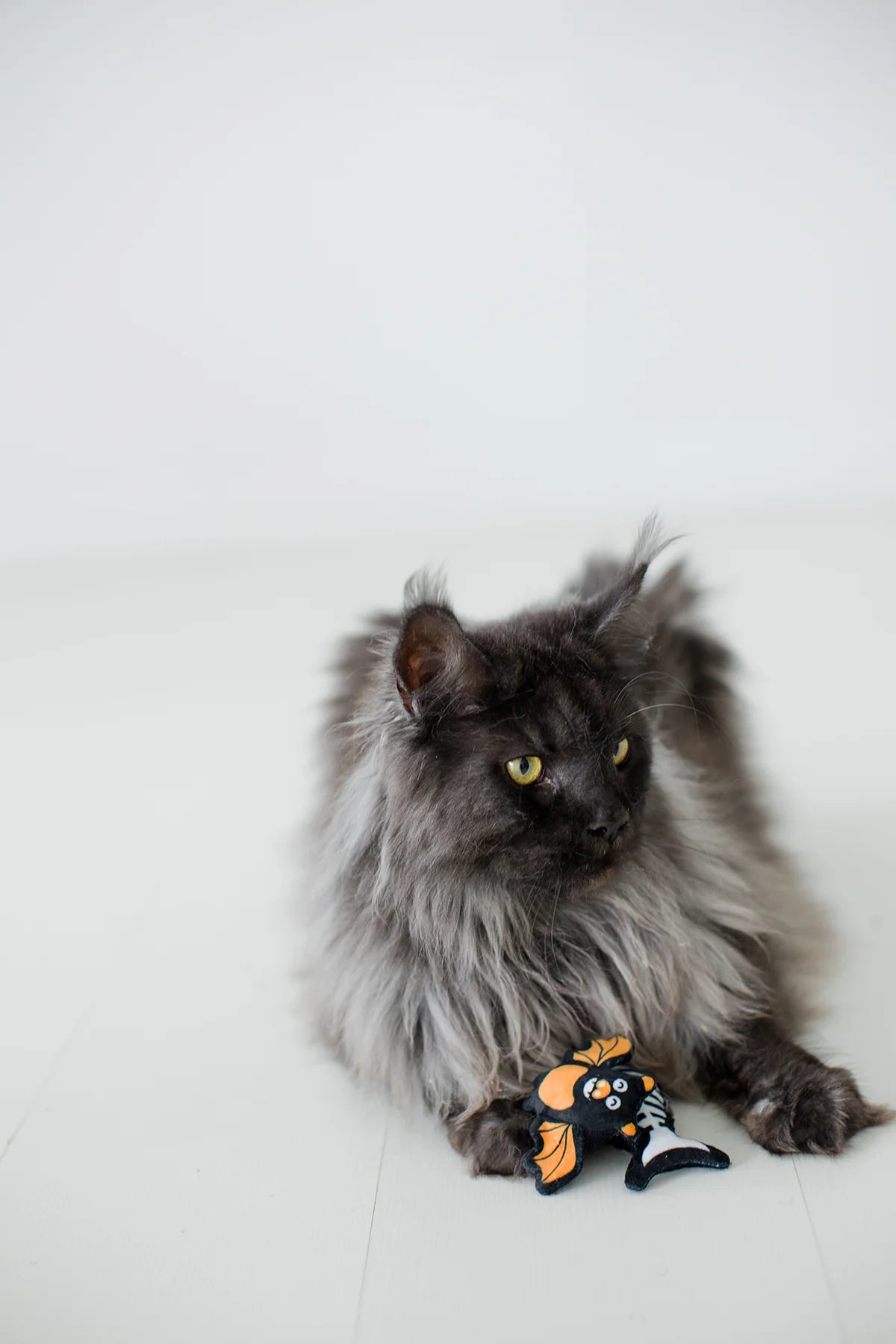 Pearhead Pawloween Cat Toy Set