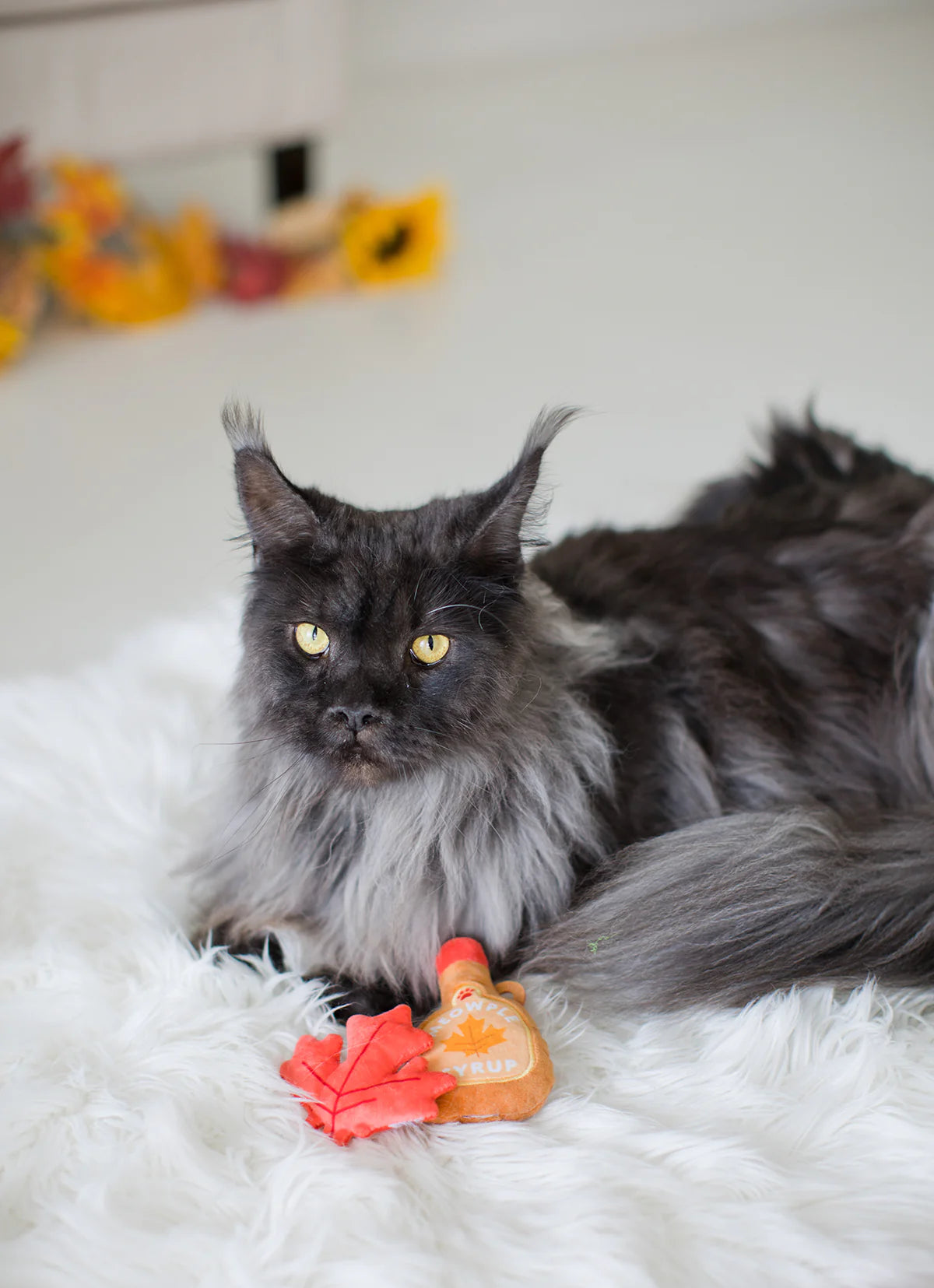 Pearhead It'S Meowple Season Cat Toy Set