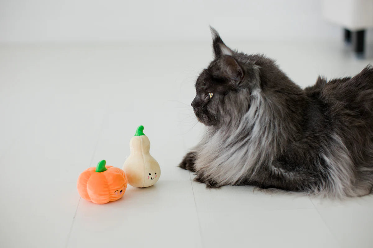 Pearhead Oh My Gourd Cat Toy Set