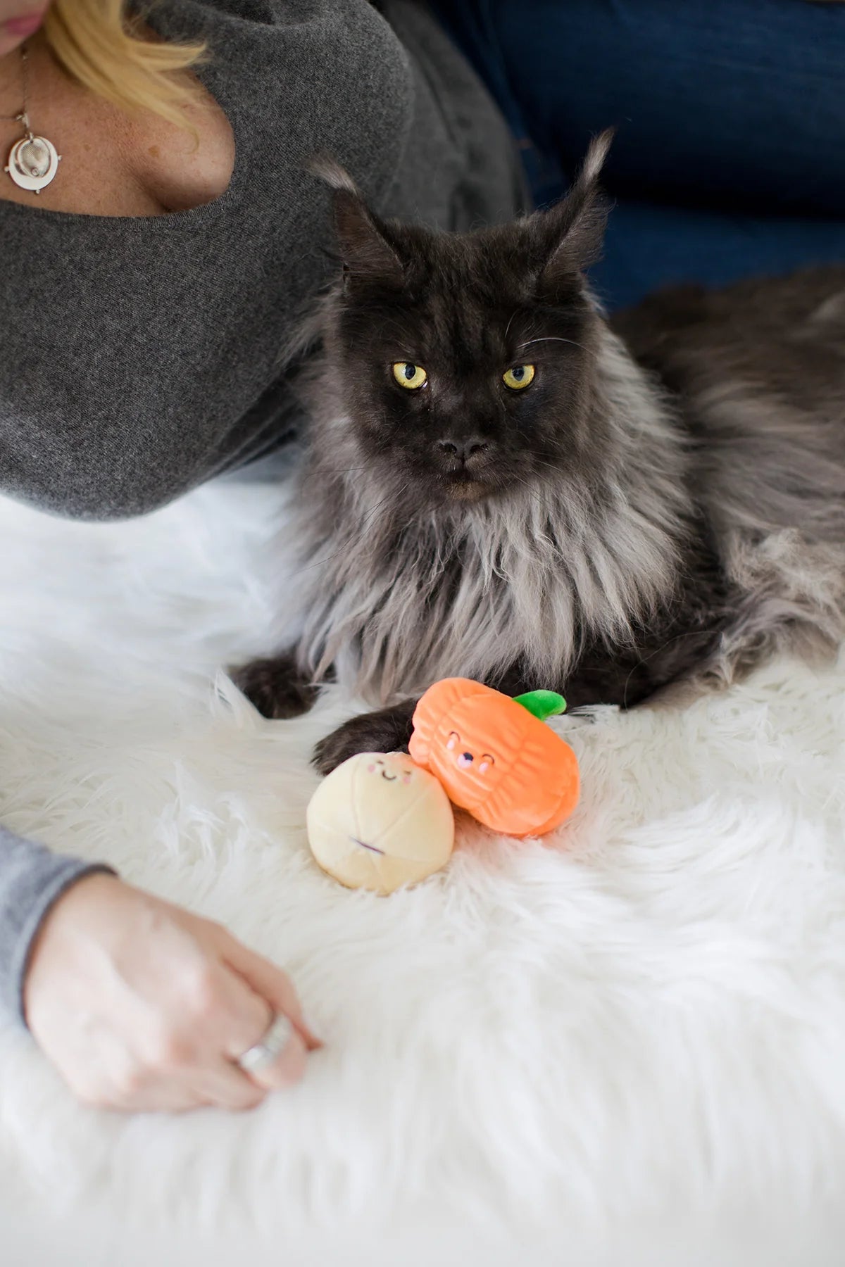 Pearhead Oh My Gourd Cat Toy Set