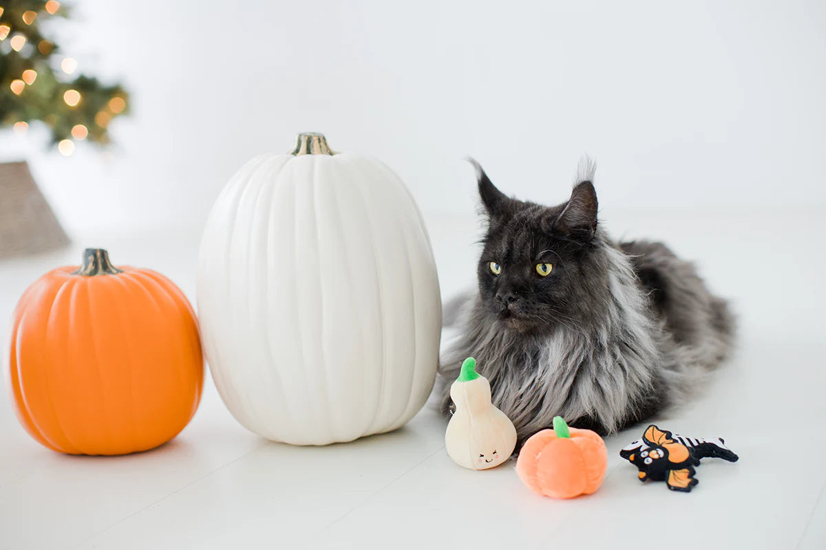 Pearhead Pawloween Cat Toy Set