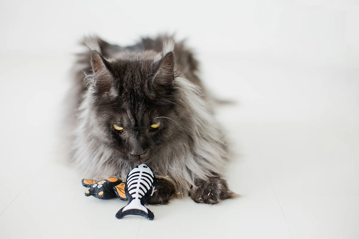 Pearhead Pawloween Cat Toy Set