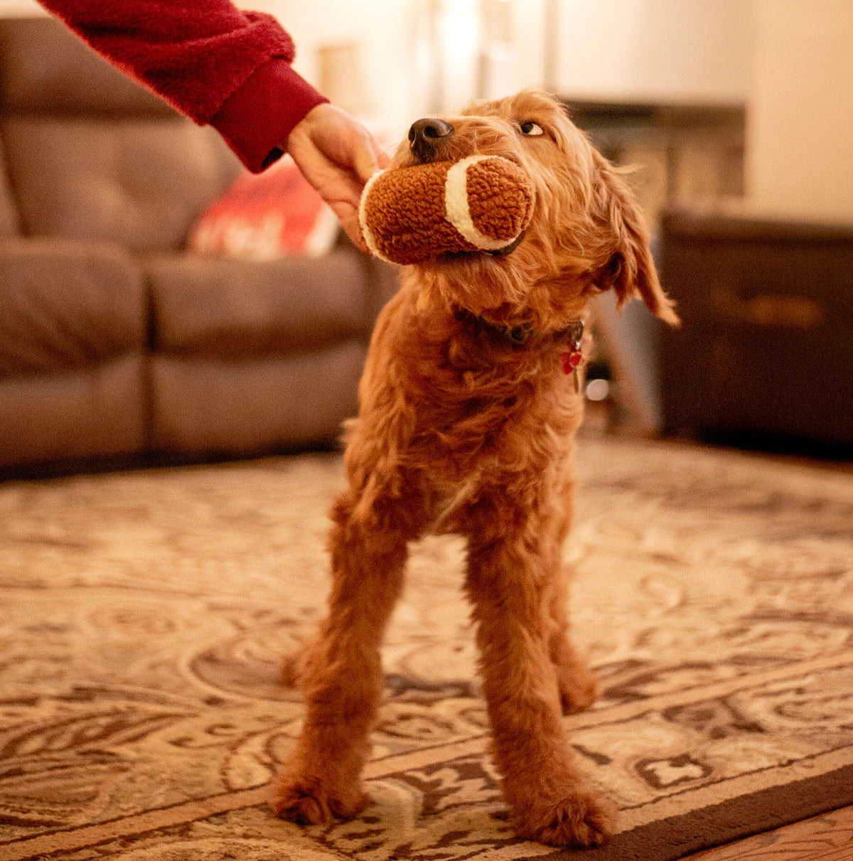 ThoozyPet Football Plush Dog Toy 6.5"